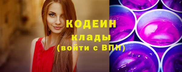 хмурый Бородино