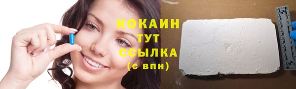 дживик Бронницы