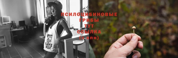 гидра Михайлов