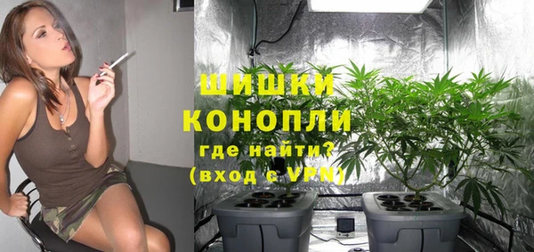 гидра Михайлов