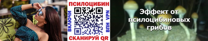 Псилоцибиновые грибы ЛСД Бологое